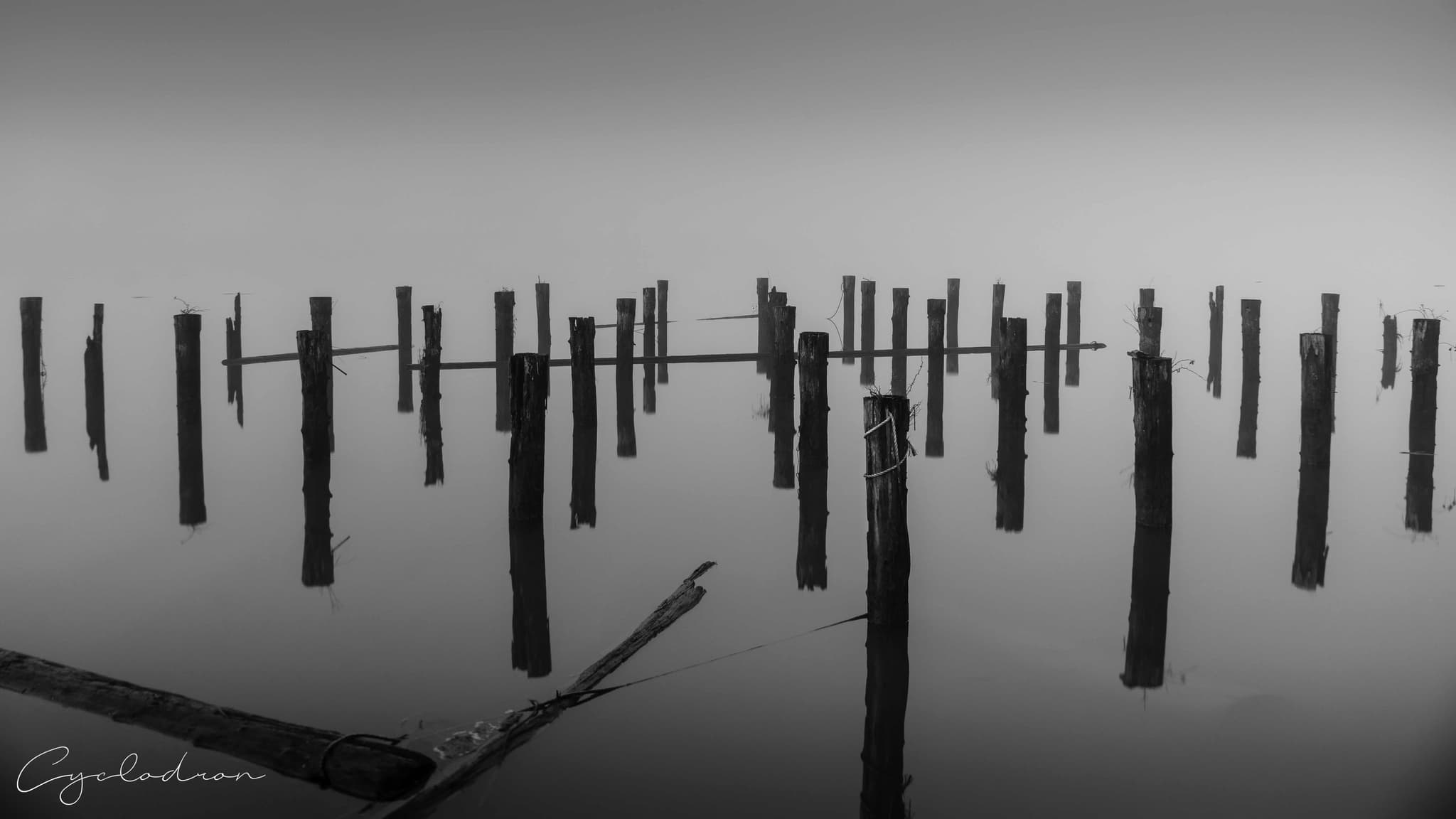 Black and white minimalist old wooden pilings in still water
