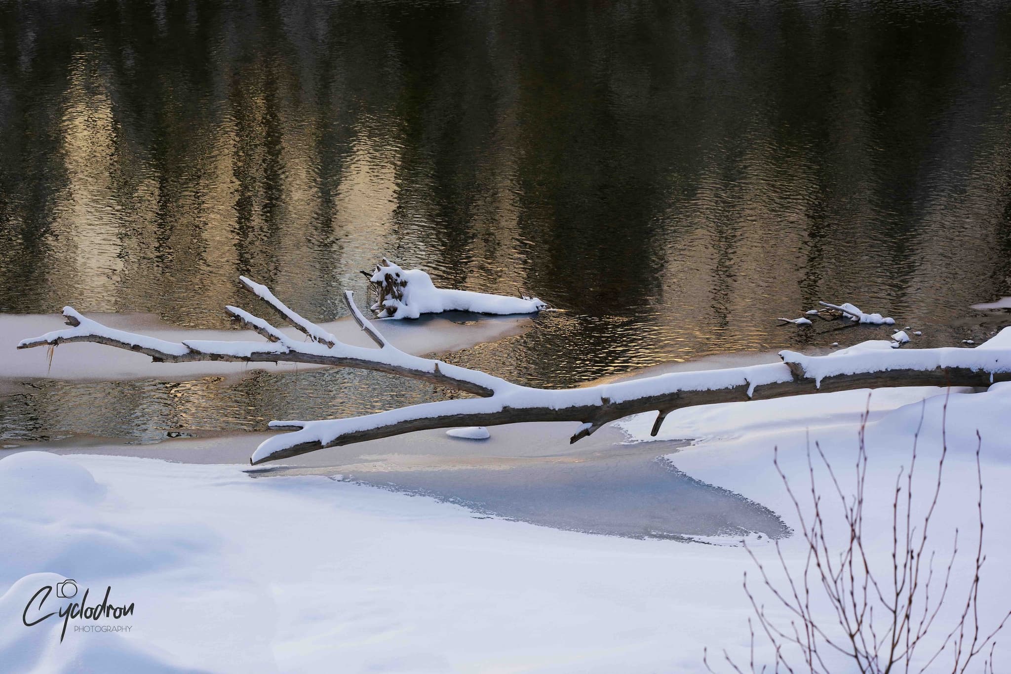 Snow-covered logs over water with golden reflections
