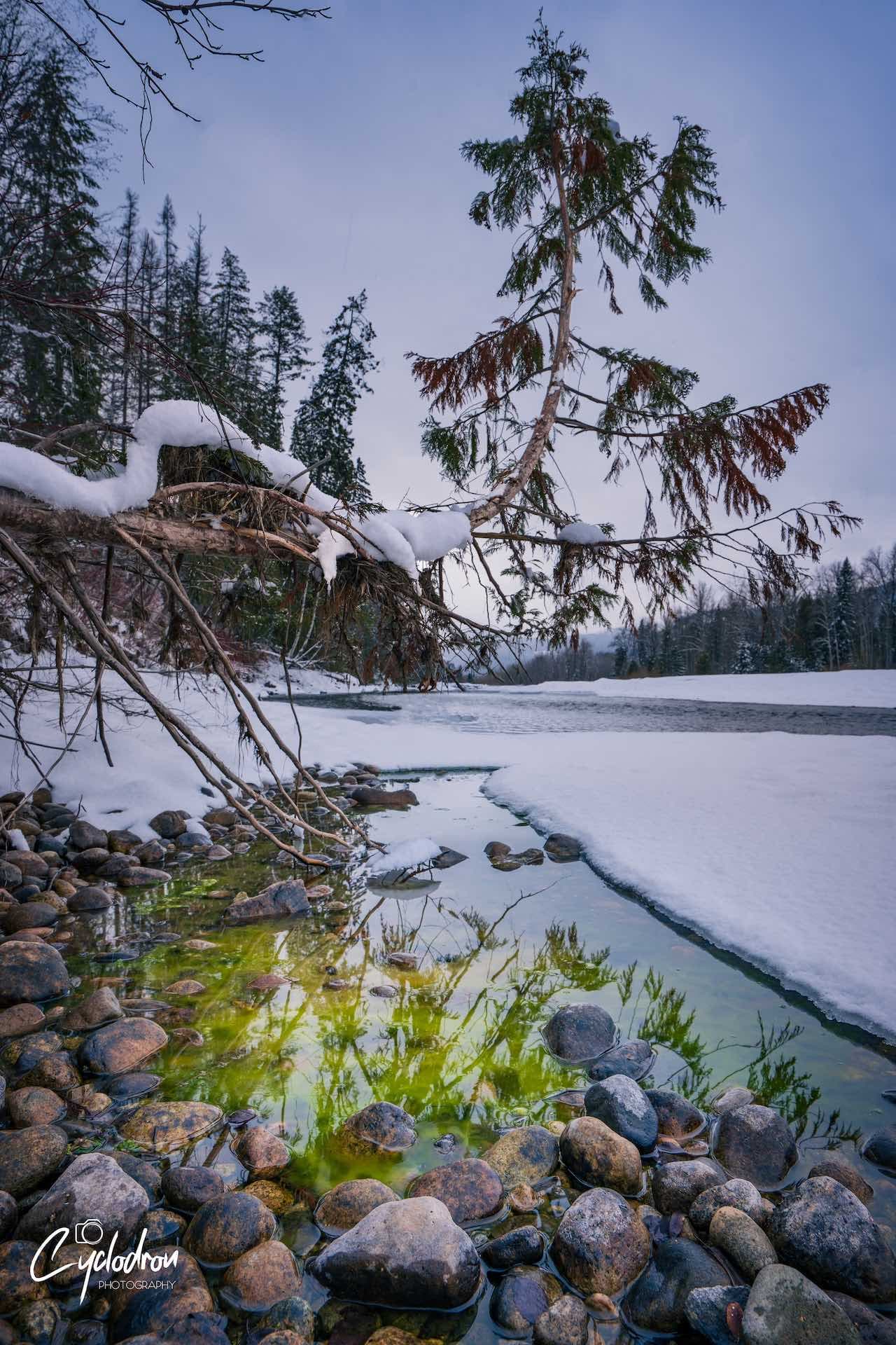 Winter creek with ice formations and snow-covered branches