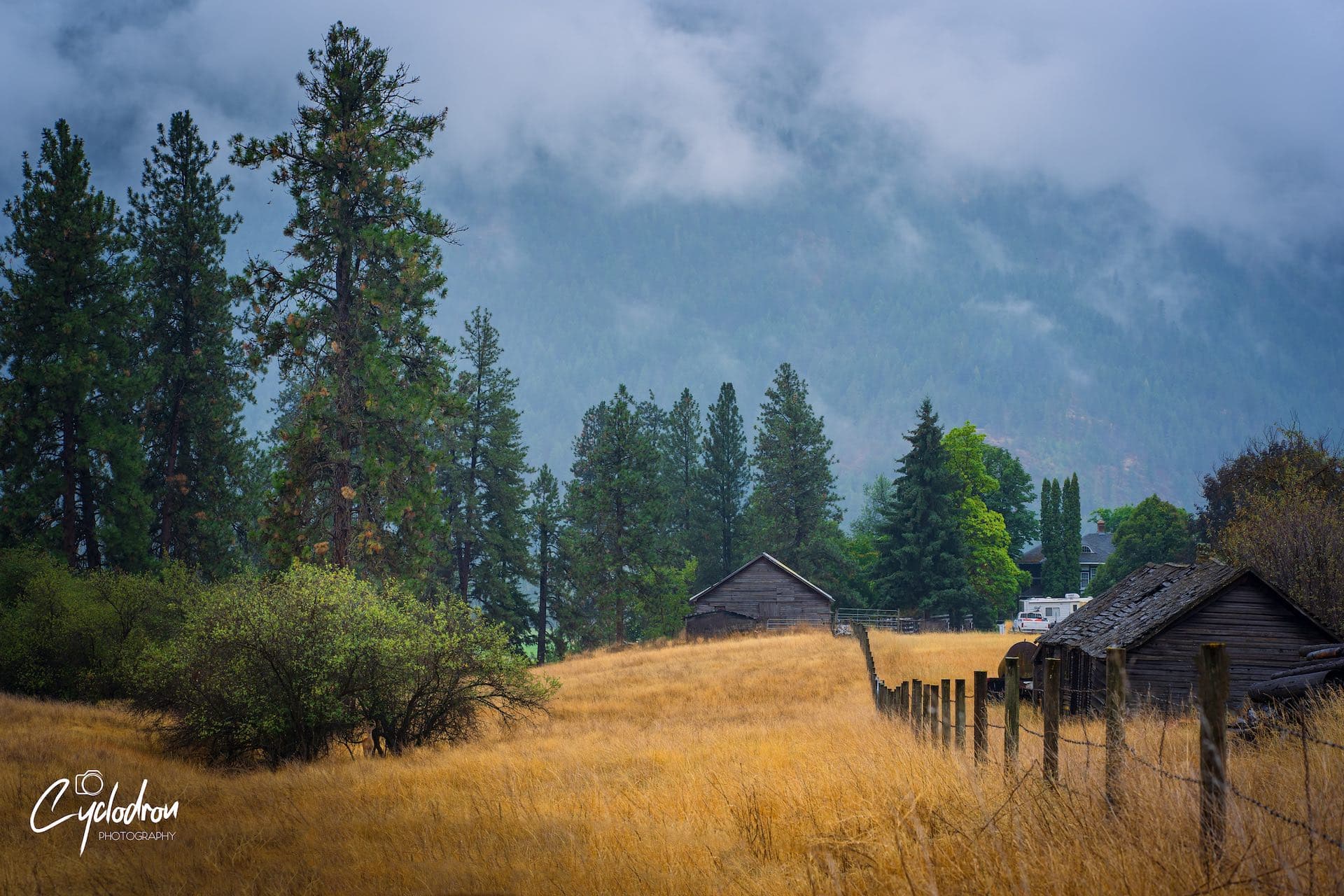 Old weathered barns with dramatic stormy sky and golden grass fields